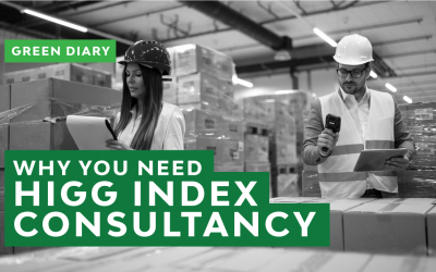 Why You Need HIGG Index Consultancy